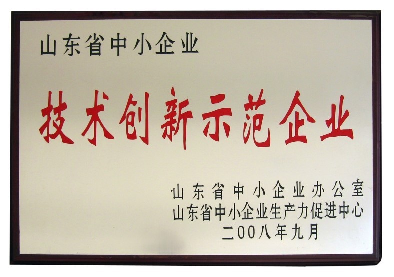 技術(shù)創(chuàng)新示范企業(yè)